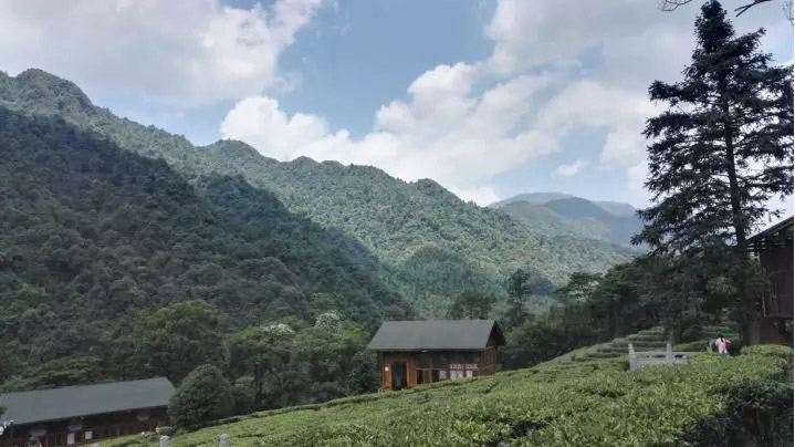 广东博皓家人们赴黄姚古镇、姑婆山旅游-8