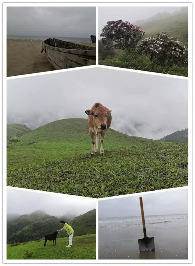 5月1日，阳西蓝袍蓝看海，阳春鸡笼顶登山赏高山杜鹃