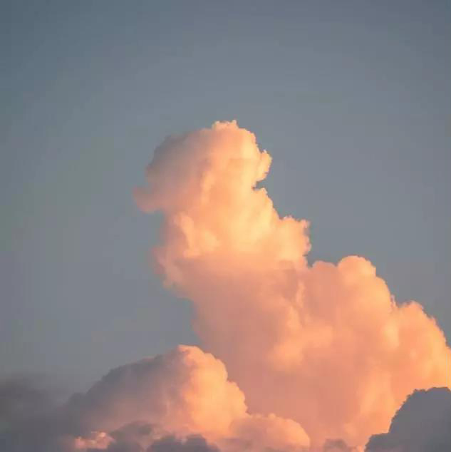 《危险货物道路运输安全管理办法》发布，2020年1月1日起执行！