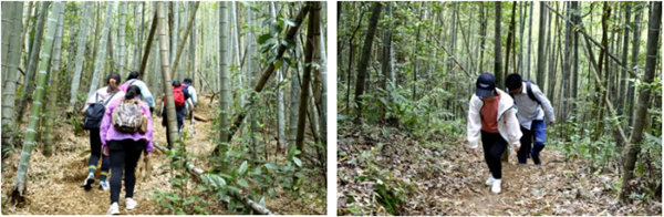 博行天下俱乐部走进从化十登的第二峰-鸡枕山     -6