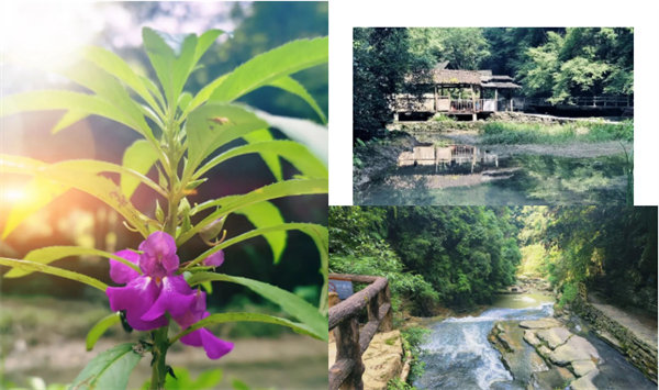 “湘”约凤凰，相守未来——2022博皓快乐湖南行    -34
