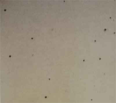 胶衣常见问题--鱼眼