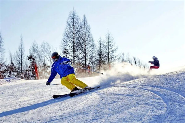 玻璃纤维在滑雪板上的应用