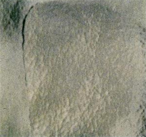 胶衣常见问题--预脱膜