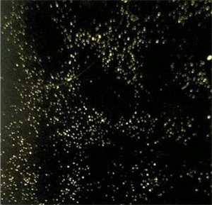 胶衣常见问题--针孔