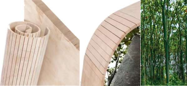 玻璃钢渔船用夹芯材料&mdash;&mdash;轻木