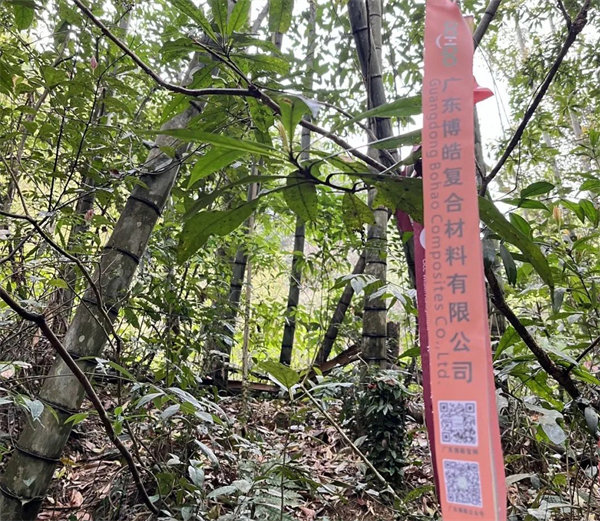 凝心聚力再出发，风雨同舟赴星溪！--广东博皓2024龙年首登星溪之旅     -2