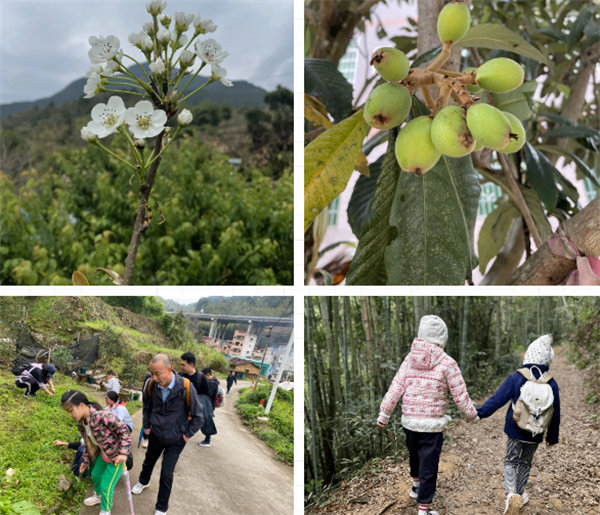 凝心聚力再出发，风雨同舟赴星溪！--广东博皓2024龙年首登星溪之旅     -4