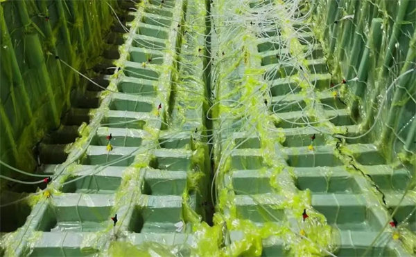 百年风雨，历久弥坚&mdash;&mdash;玻璃钢渔船VS玻璃钢管道寿命