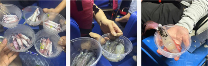 携手博皓逐梦行，巽寮湾上展豪情—广东博皓2025年巽寮湾之旅    -10