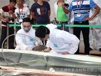 现场抽真空工艺演示,必发365官网技术团队在行动 现场抽真空工艺演示,必发365官网技术团队在行动
