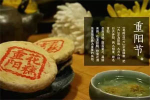 陪伴是最长情的告白——广东必发365官网祝大家重阳节快乐 陪伴是最长情的告白——广东必发365官网祝大家重阳节快乐