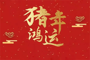 广东博皓恭祝大家新年快乐！