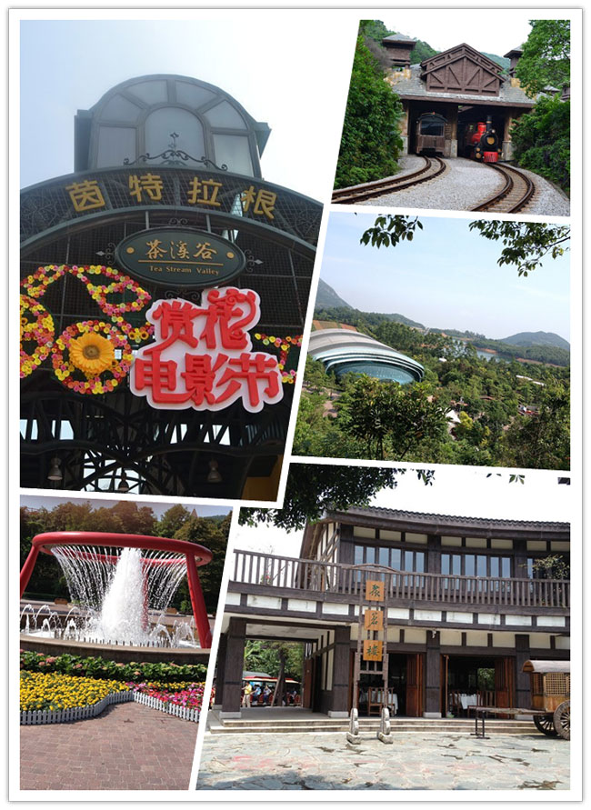 博皓东莞分公司同事及家属-深圳茶溪谷一日游