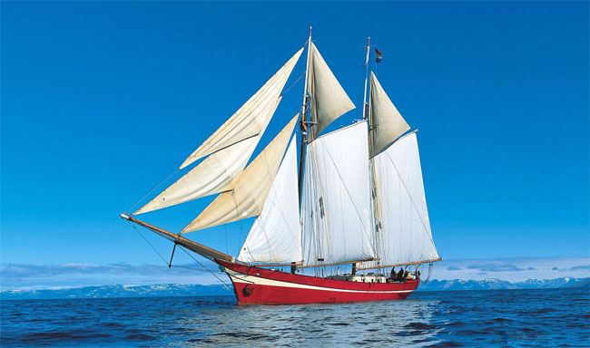 广州博皓扬帆远航