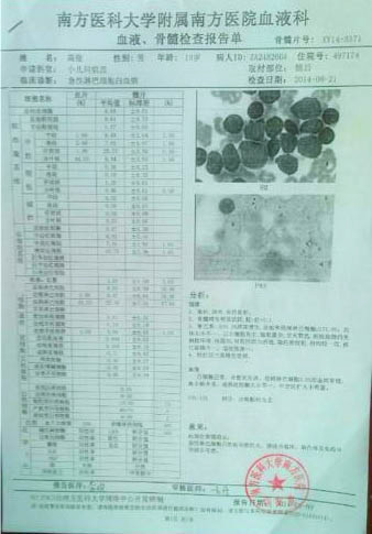 高俊的血液、骨髓检查报告单