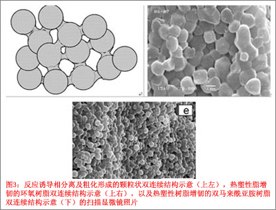 反应诱导相分离及粗化形成的颗粒状双连续结构示意（上左），热塑性脂增韧的环氧树脂双连续结构示意（上右），以及热塑性树脂增韧的双马来酰亚胺树脂双连续结构示意（下）的扫描显微镜照片