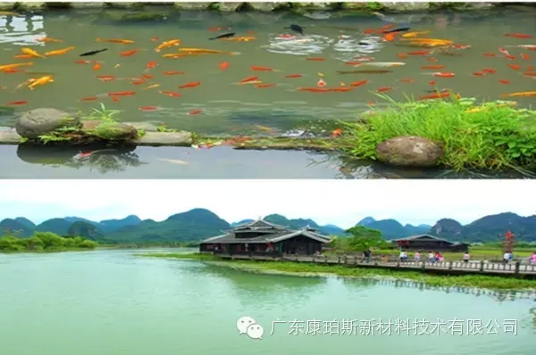 博皓同事们游览桂林山水-4