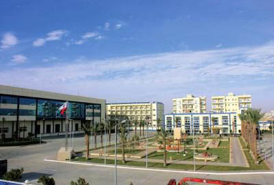 巨石埃及玻璃纤维股份有限 公司