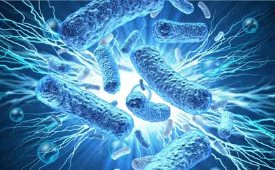 美国研究人员用导电碳纤维制造电子创可贴