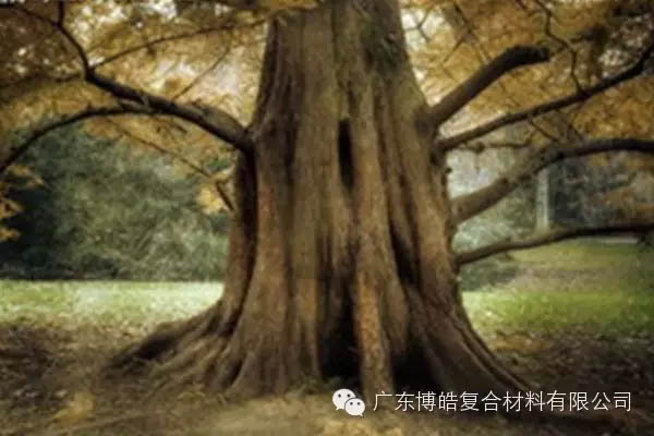 【博皓感悟】欲为大树，莫与草争-4