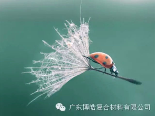 【博皓感悟】成功，要“借力”，不要“尽力”