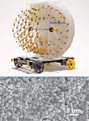 科学家已经研究出可利用蒸汽动力运动和发电的复合材料