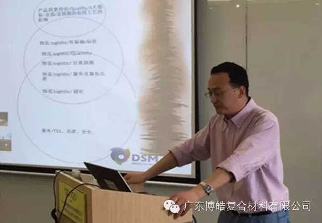 帝斯曼工程师