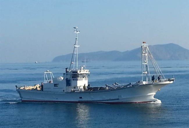 世界级玻璃钢装备助力海洋牧场现代化升级-1