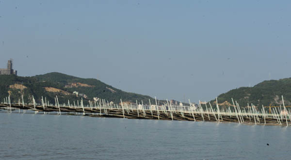 玻璃钢管材养殖紫菜好处多