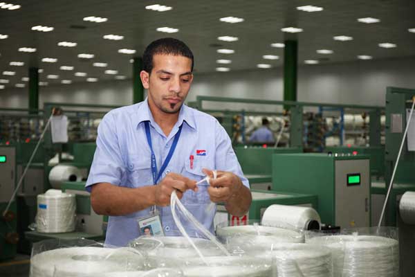 巨石埃及工厂工人作业