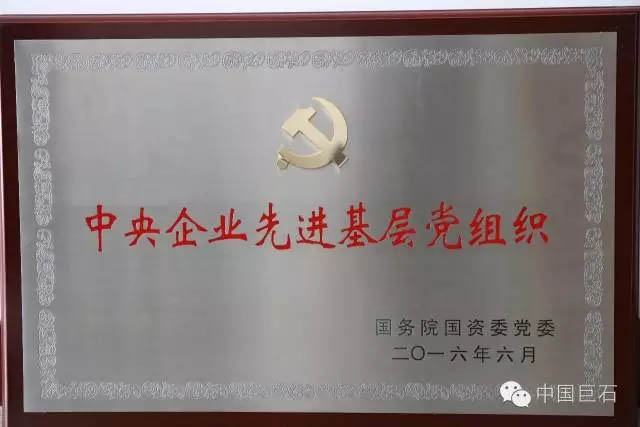 中国巨石党委荣膺