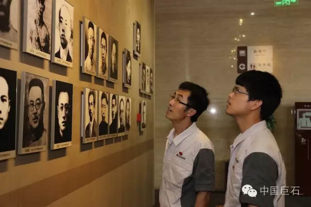 中国巨石党委荣膺