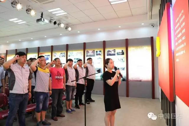 中国巨石党委荣膺