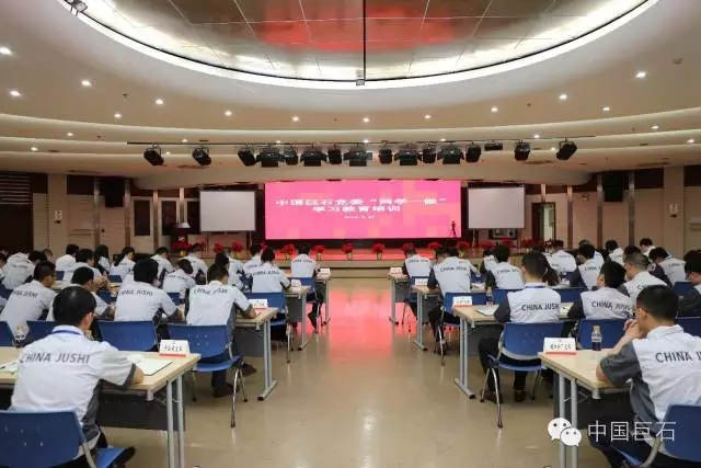 中国巨石党委荣膺