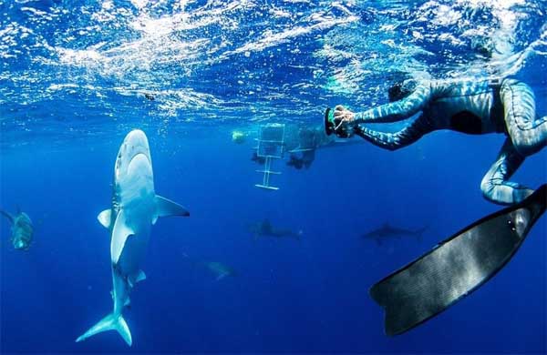 碳纤维隐身潜水衣--海洋生物也难以探测到人体电信号